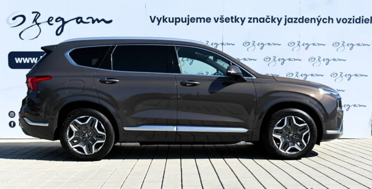 Hyundai Santa Fe 1.6 T-GDi HEV Premium 4x4 A/T | Begam Trnava