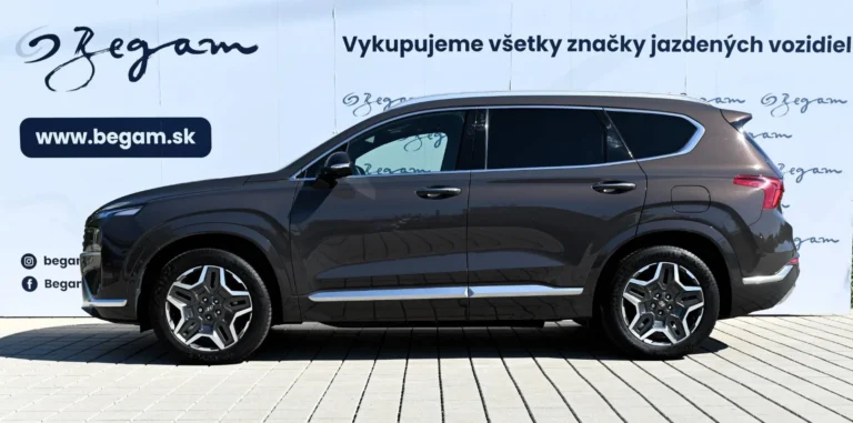 Hyundai Santa Fe 1.6 T-GDi HEV Premium 4x4 A/T | Begam Trnava