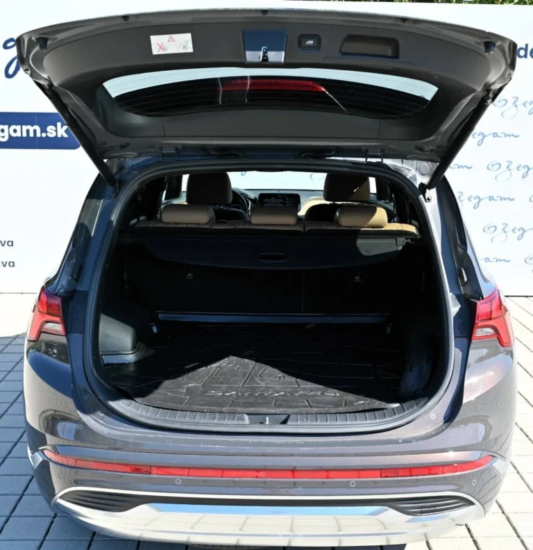 Hyundai Santa Fe 1.6 T-GDi HEV Premium 4x4 A/T | Begam Trnava