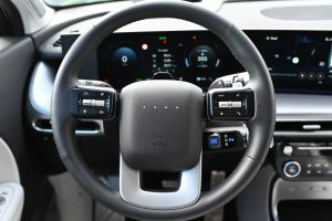 Hyundai-Ioniq-9-20