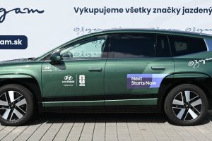 Hyundai-Ioniq-9-5