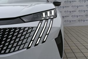 vjYP2X__d_fss